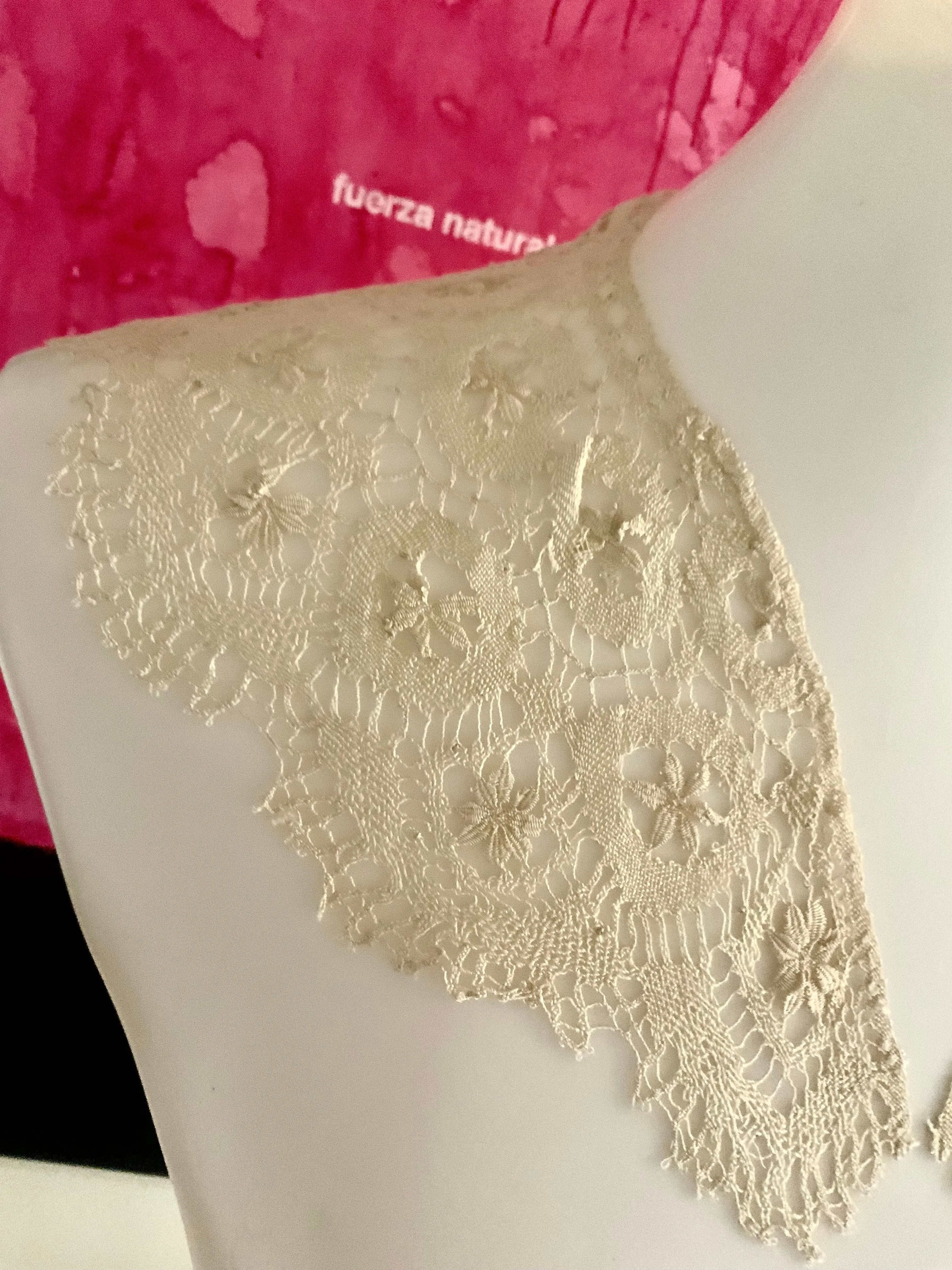 Antique Lace Collar - 1900