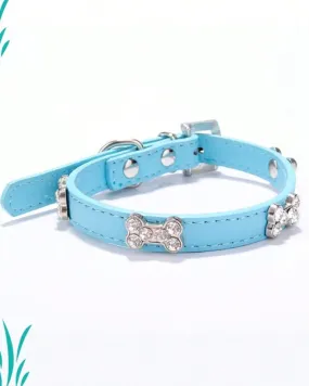 Blue Crystal Bone Pet Dog Collar