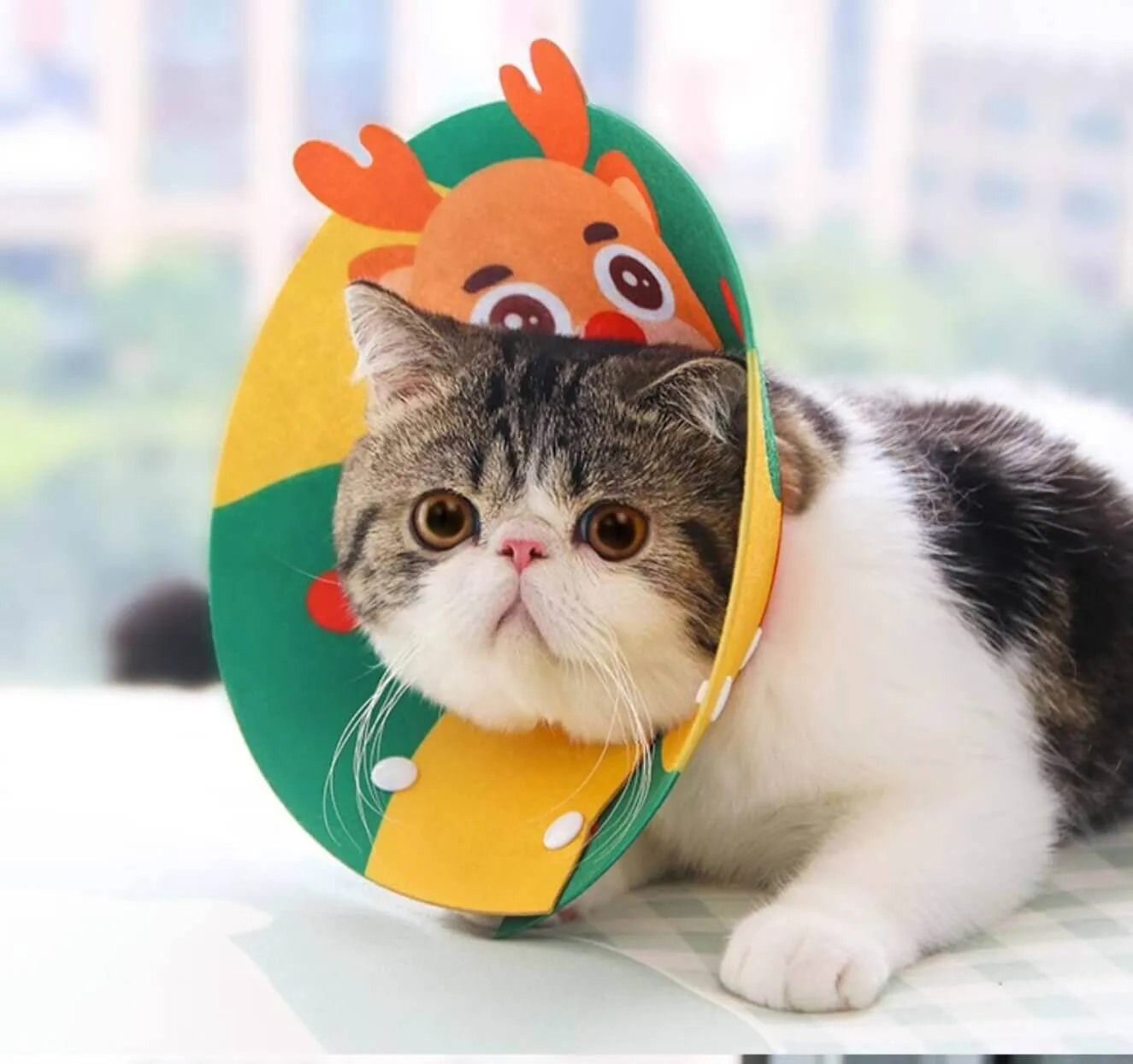 Cat Cone Anti-Bite Elizabethan Waterproof Recovery Collar with Cartoon Pattern