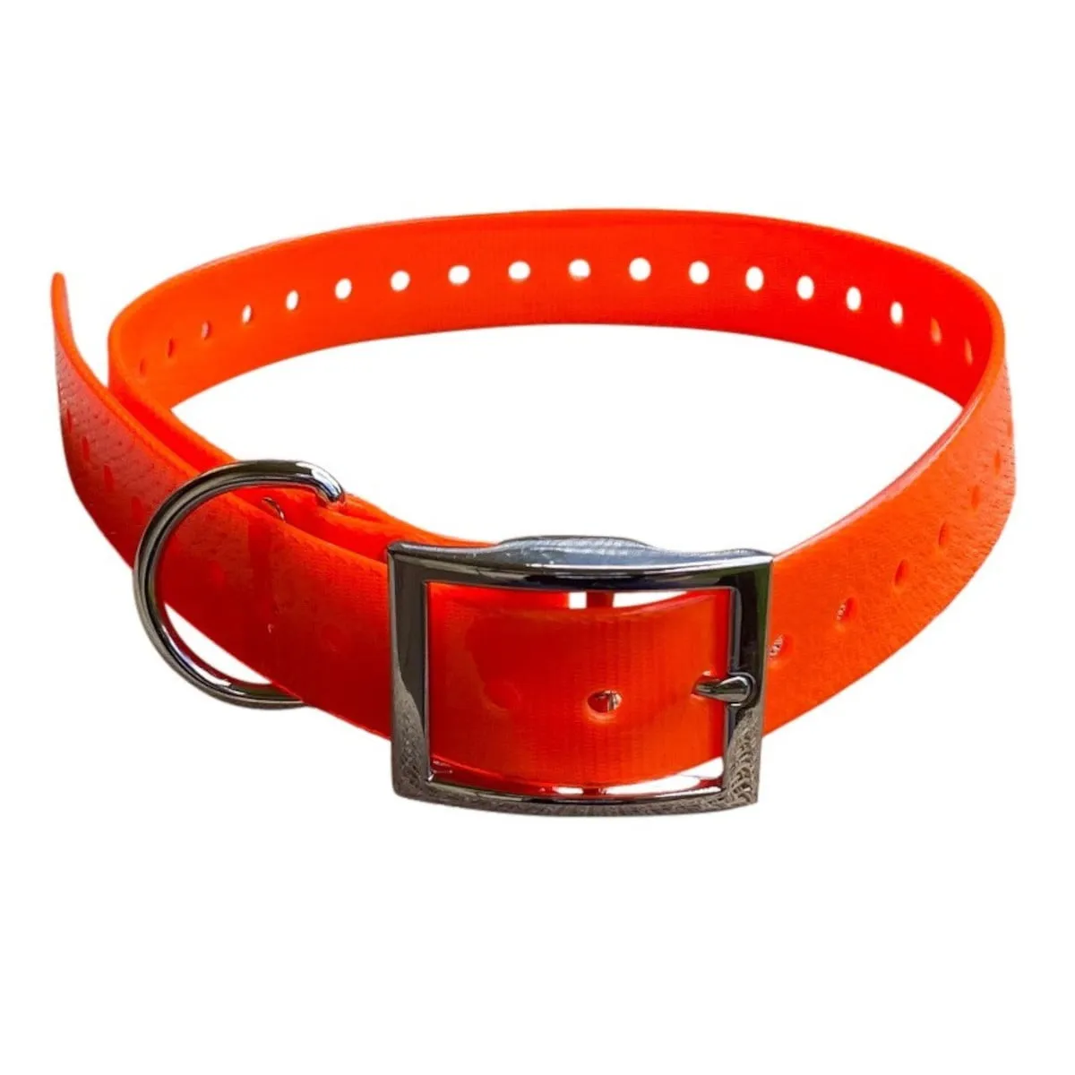 Dog Collar