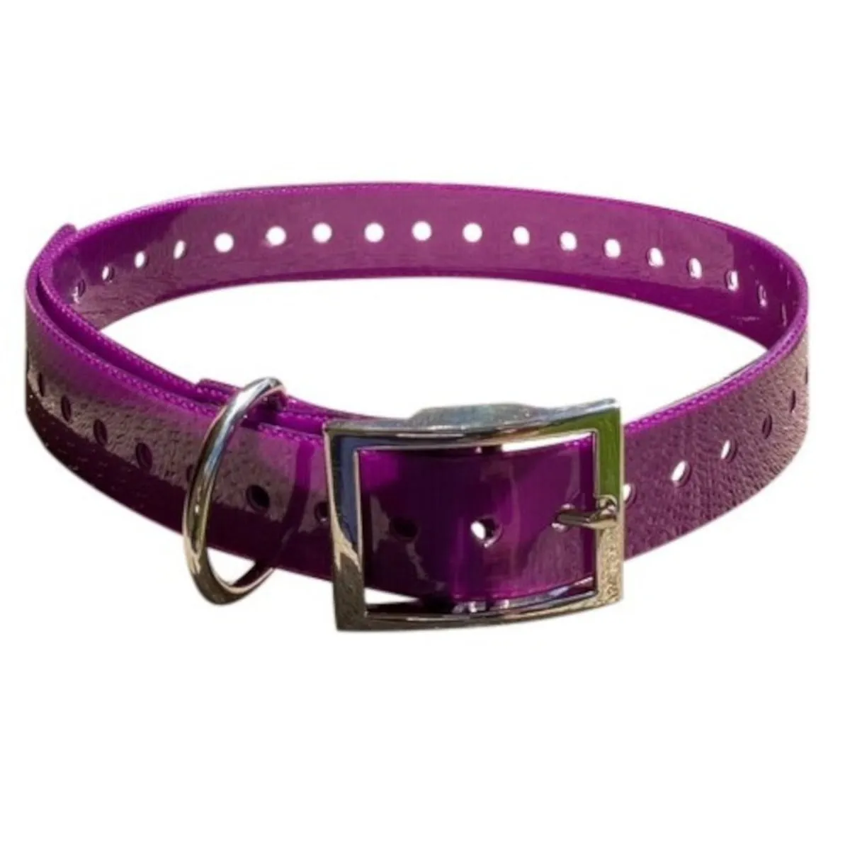 Dog Collar