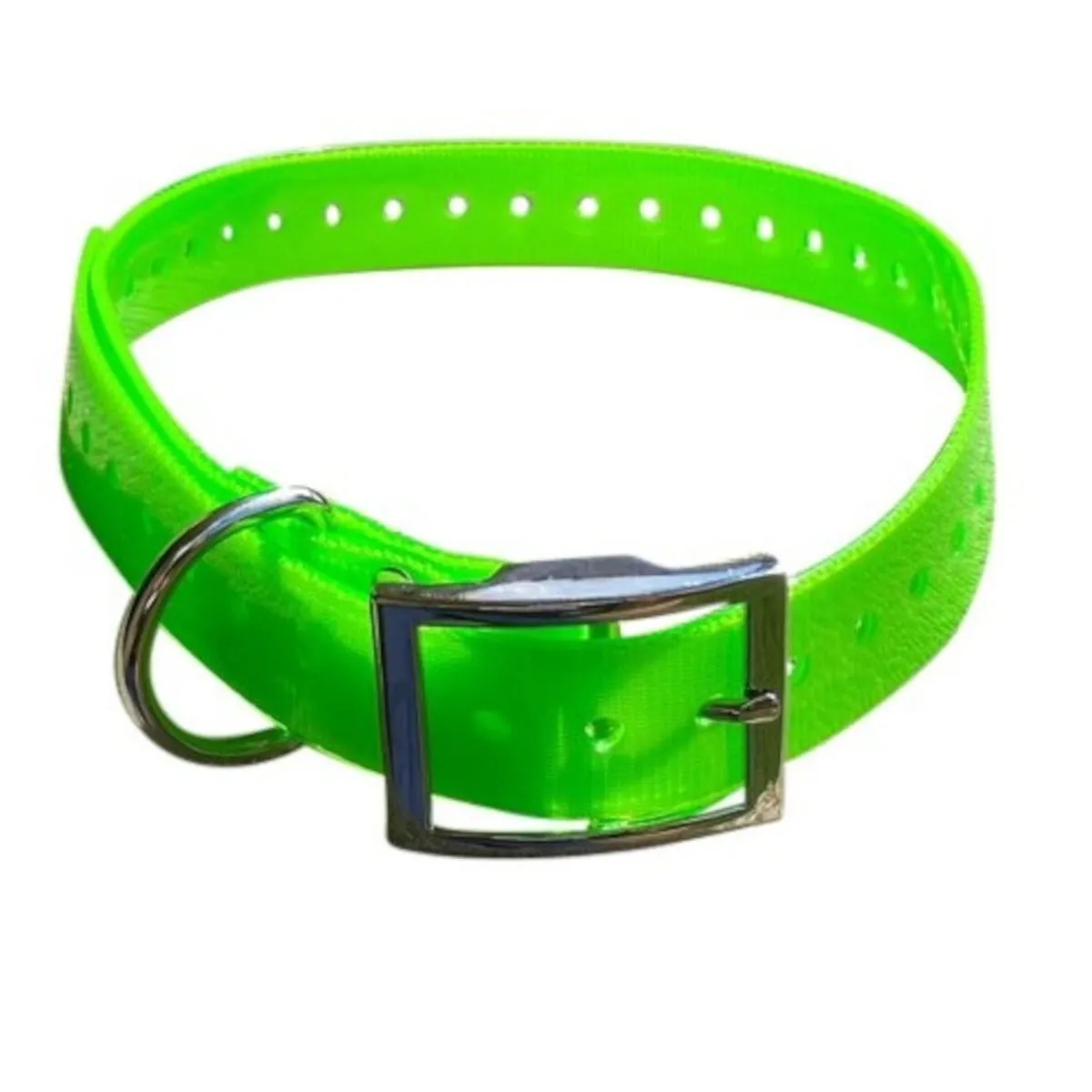 Dog Collar