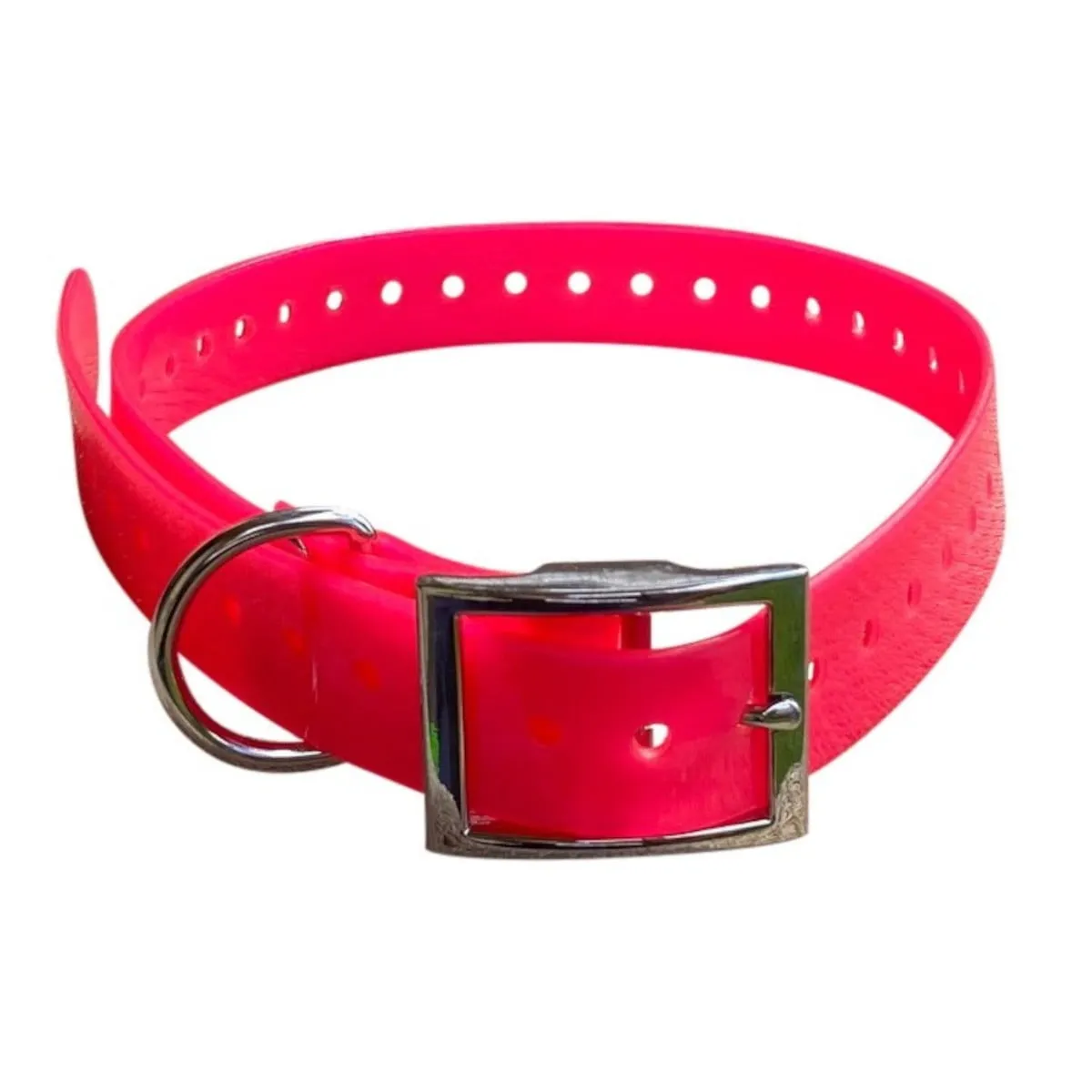 Dog Collar