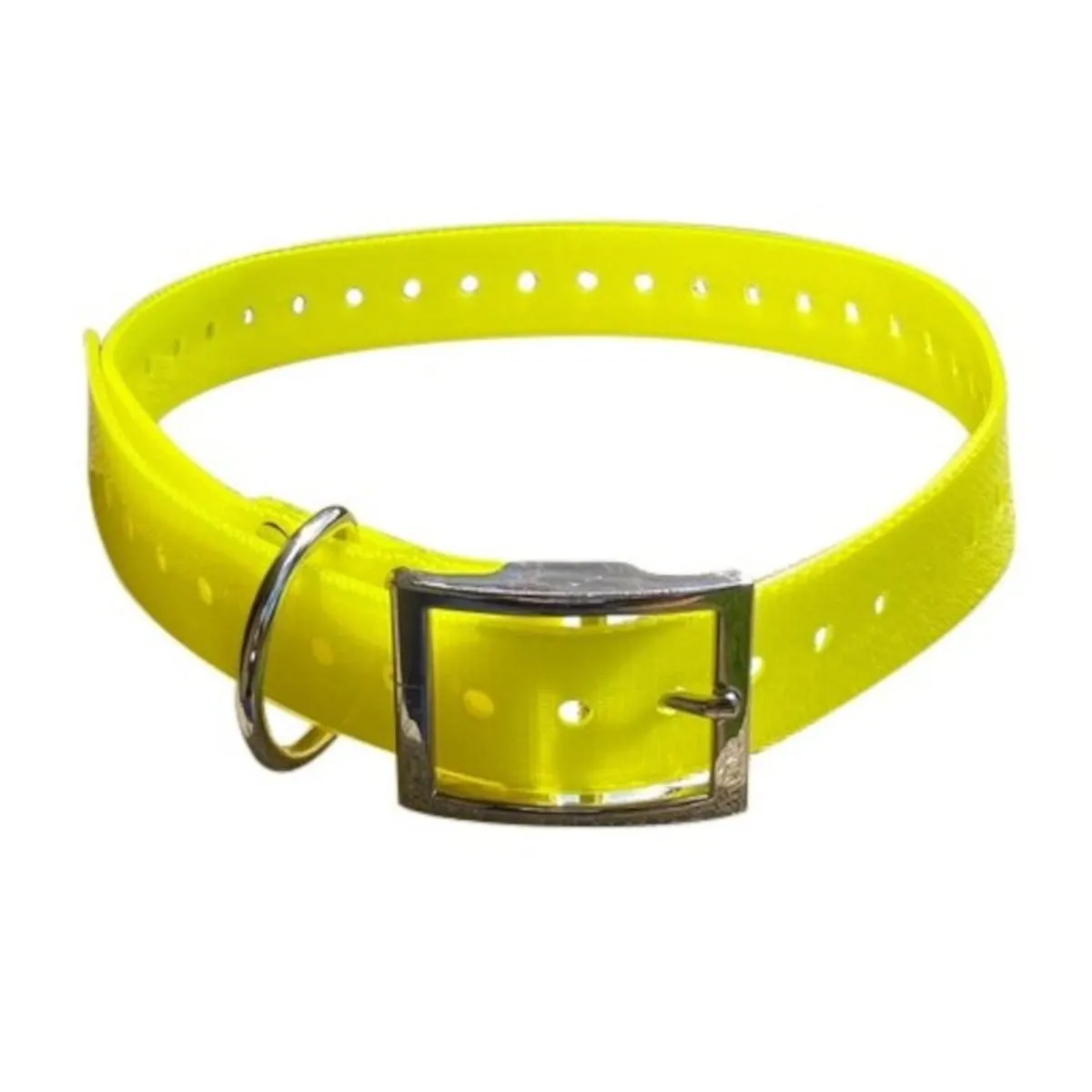 Dog Collar