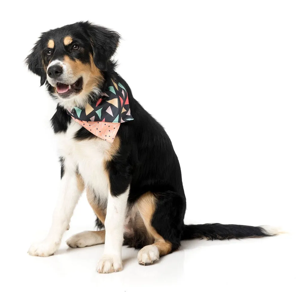 FuzzYard Rad Pet Bandana (discontinued)