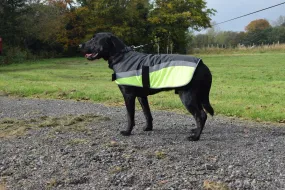 Go Walk High Vis Reflective Dog Coat in Yellow