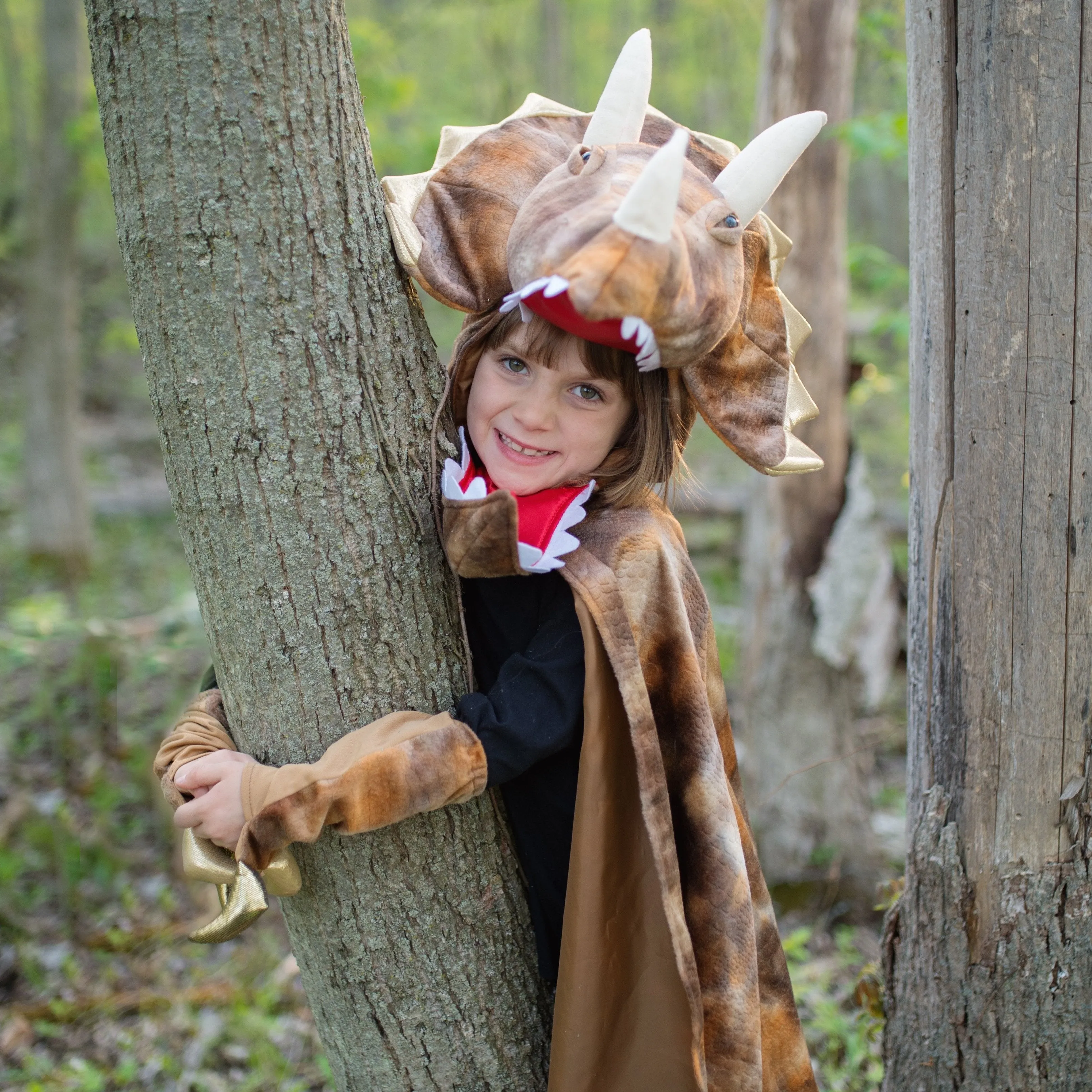 Grandasaurus Triceratops Cape with Claws