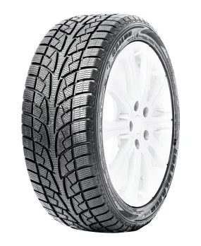 Ice Blazer WSL2 - 175/70R13 82T