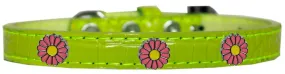 Pink Daisy Widget Croc Dog Collar Lime Green Size 18