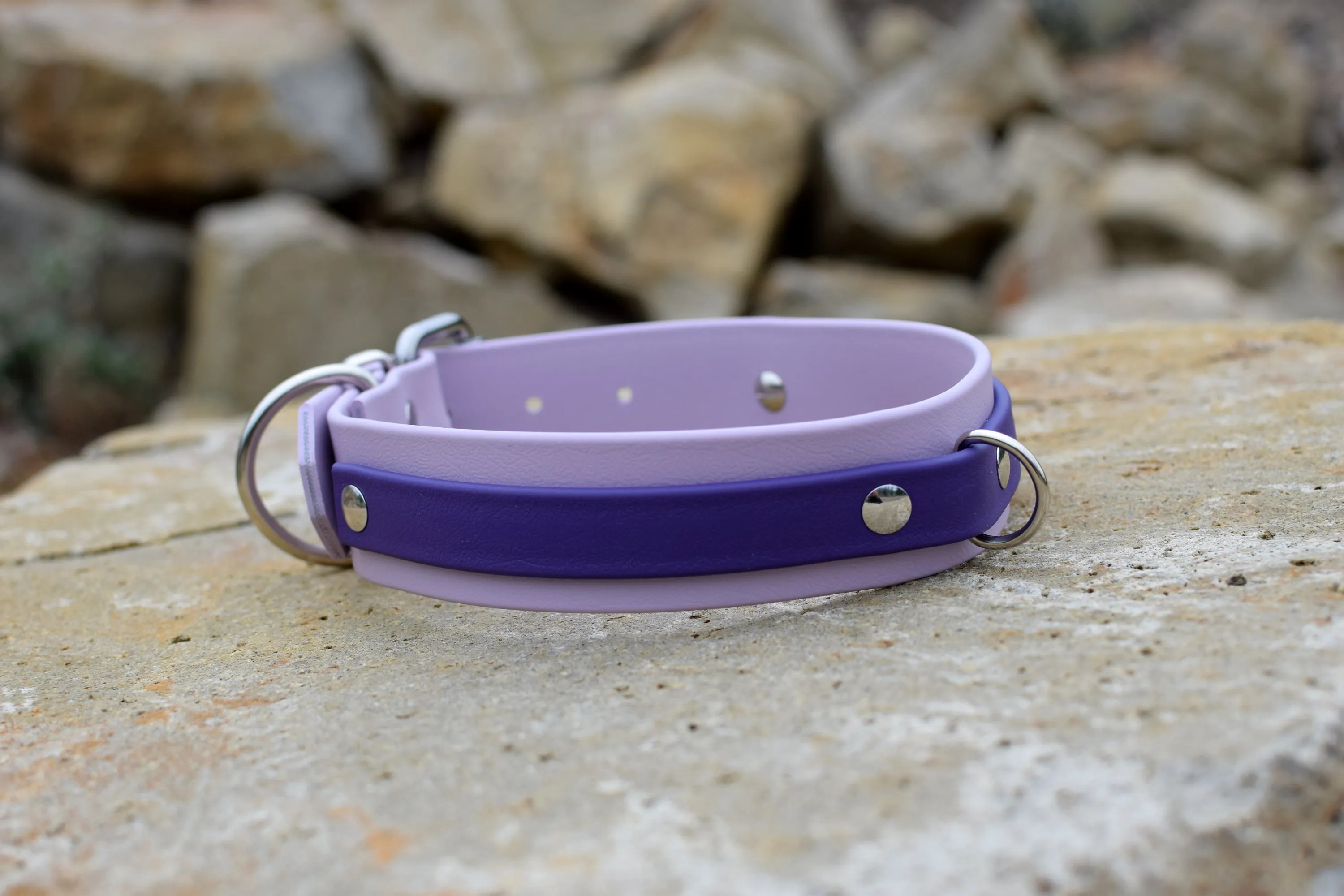 PREMADE COLLECTION - Pastel Purple & Purple Biothane Dog Collar