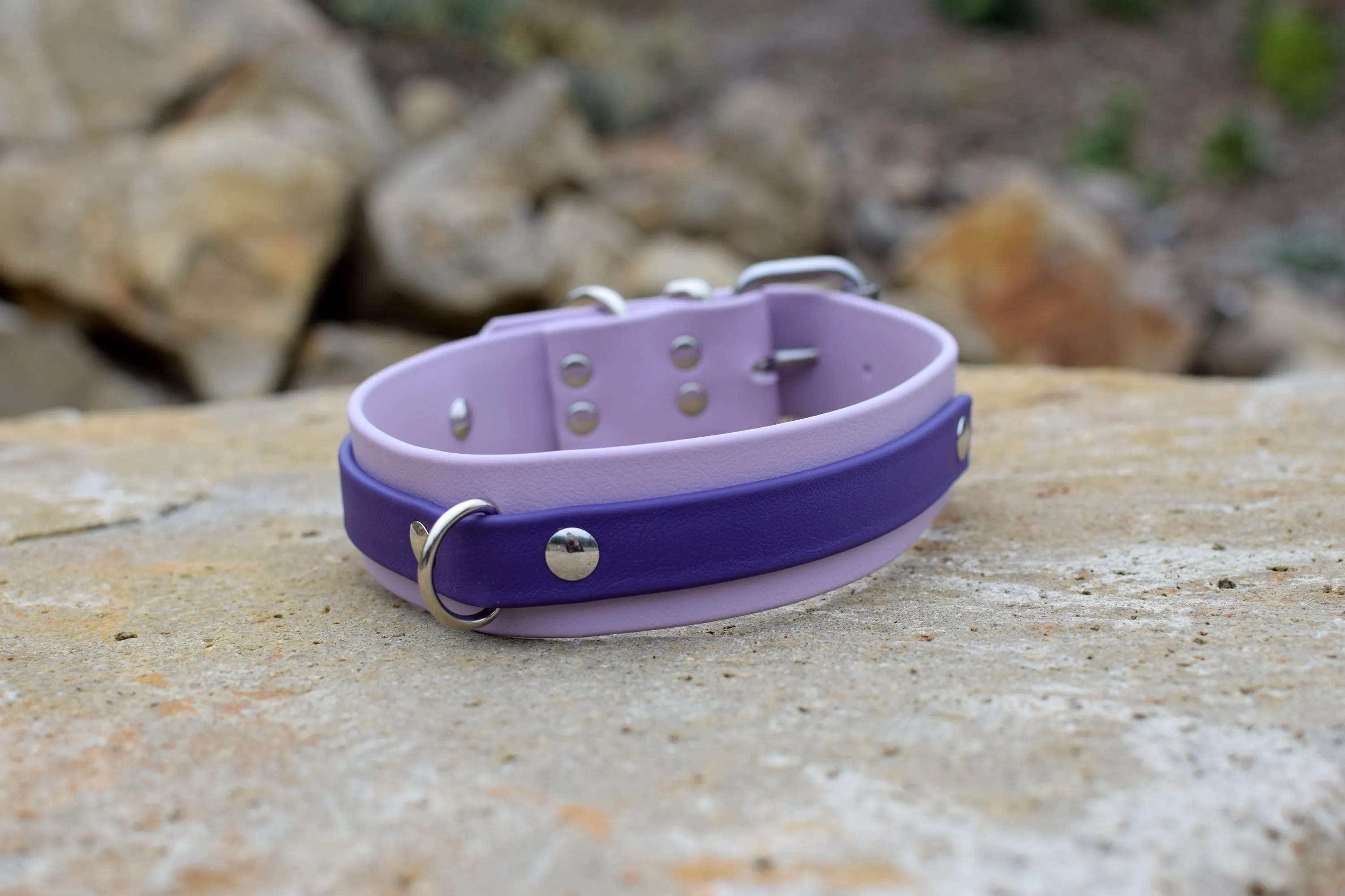 PREMADE COLLECTION - Pastel Purple & Purple Biothane Dog Collar