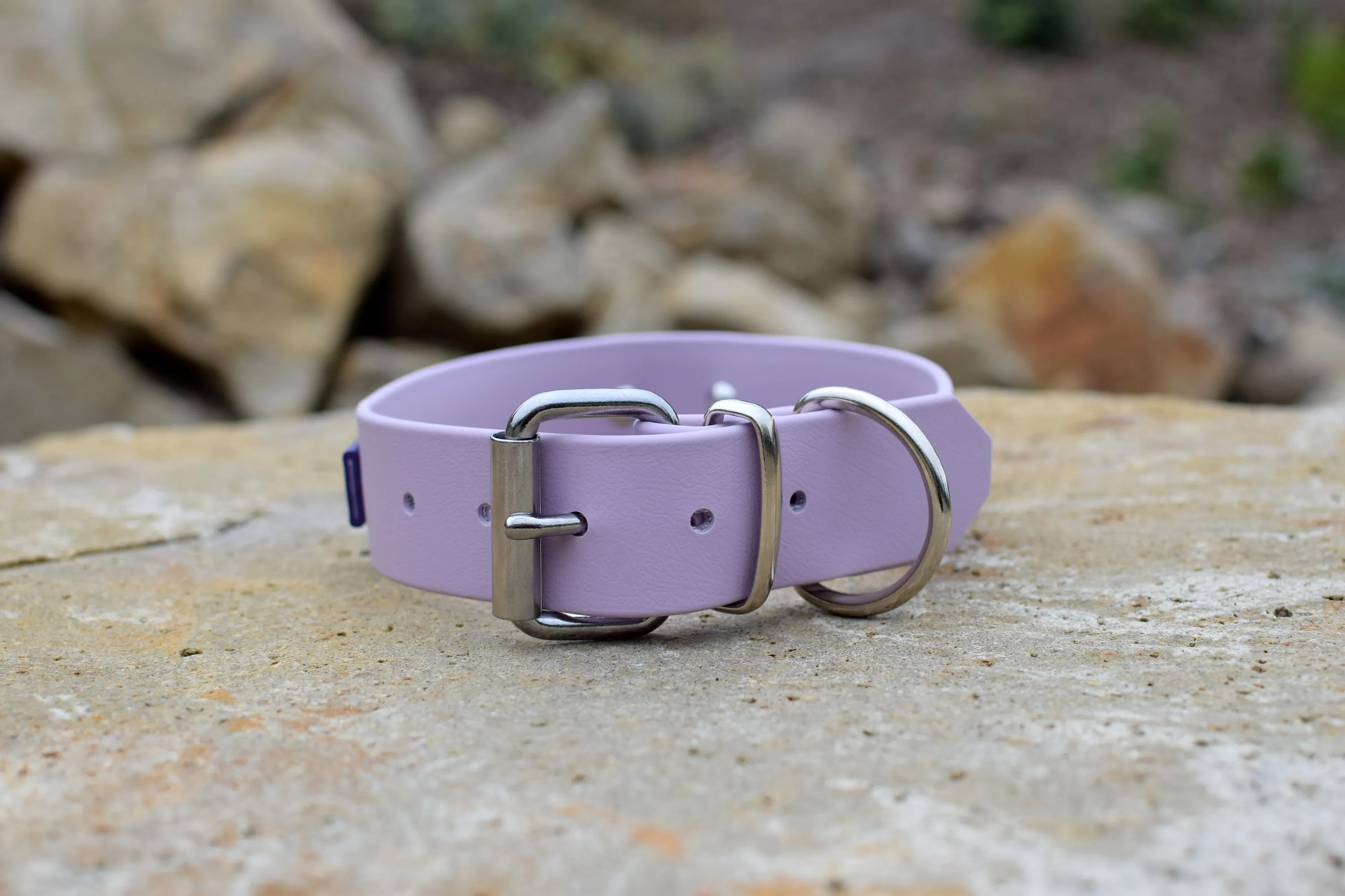 PREMADE COLLECTION - Pastel Purple & Purple Biothane Dog Collar