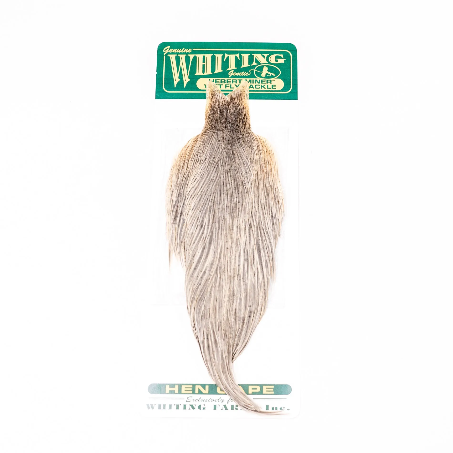 Whiting Hebert  Hen Cape